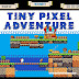 tinypixel GGCydV