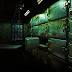 asylum UoANuR